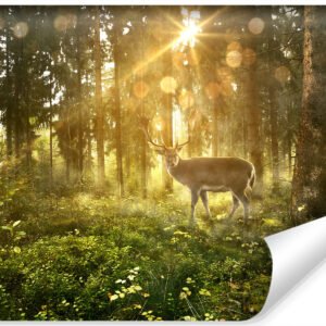 Fotobehang – Hert in zonnig bos, premium print, inclusief behanglijm