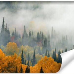 Fotobehang - Mist in herfstbos, premium print, inclusief behanglijm