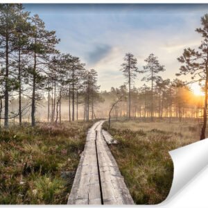 Fotobehang – Houten pad door het bos, premium print, inclusief behanglijm