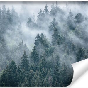 Fotobehang - Mistig bos, premium print, inclusief behanglijm