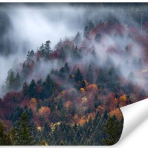 Fotobehang – Mistig herfstbos, premium print, inclusief behanglijm