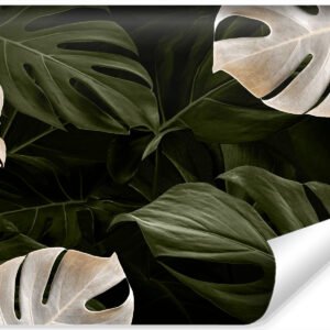 Fotobehang - Wit en groene monstera bladeren, premium print, inclusief behanglijm