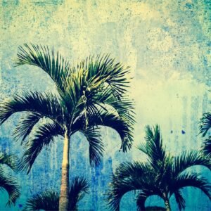 Fotobehang – Palmbomen in Grunge stijl, Vintage, 11 maten, Prachtig aan je muur, inclusief behanglijm