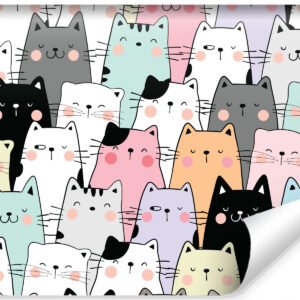 Fotobehang – Kleurrijke cartoon katten, ook mooi voor in een kinderkamer, 11 maten, inclusief behanglijm