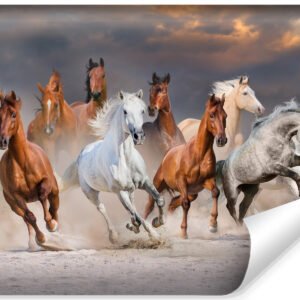 Fotobehang - Kudde galopperende paarden, 11 maten, premium print, inclusief behanglijm
