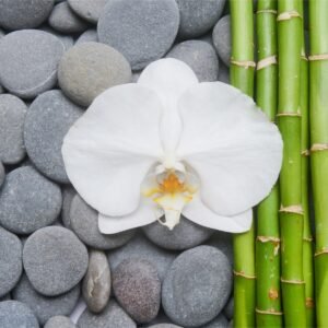 Fotobehang – Bamboe, Orchidee en stenen, Spa, Inspiratie, in 11 maten, inclusief behanglijm