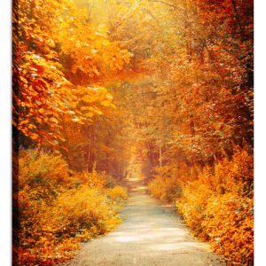 Schilderij – Herfstpad door het Bos, Premium Print, Wanddecoratie