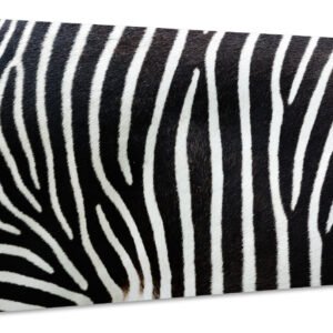Schilderij – Zebra Strepen, zwart/wit, Premium print