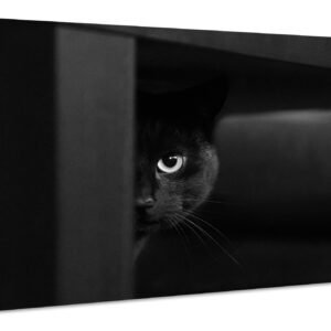 Schilderij – Geheimzinnige Kat, zwart/wit, Wanddecoratie, Premium Print