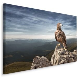 Schilderij – Adelaar op de top van de Berg, Premium Print