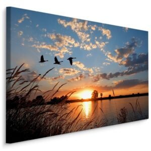 Schilderij – Ganzen bij Zonsondergang, Premium Print