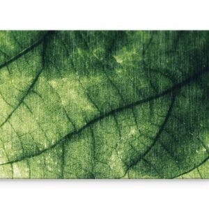 Schilderij – Textuur van een Blad, groen, premium Print