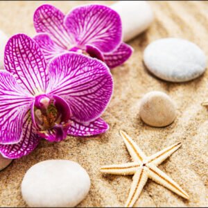 Fotobehang – Orchidee op het strand, Spa, inspiratie, zeester, in 11 maten te koop, incl behanglijm