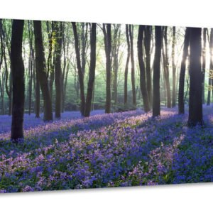Schilderij -Lavendel in het bos, 120x40cm. Wanddecoratie, premium print