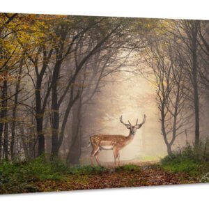 Schilderij -Hert in het bos, premium print , 2 maten (wanddecoratie)