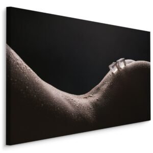Schilderij – Smeltend ijs, premium print